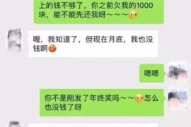 保亭保亭专业催债公司的催债流程和方法